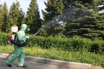 Уничтожение комаров в Чехове