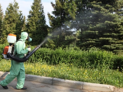 Уничтожение комаров в Чехове